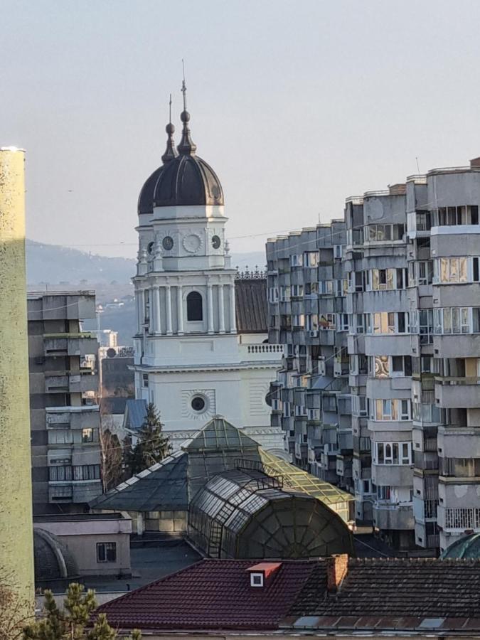 City Center Apartments - Piata Unirii Iasi Eksteriør bilde